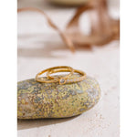 Conjunto anéis Dois Amores